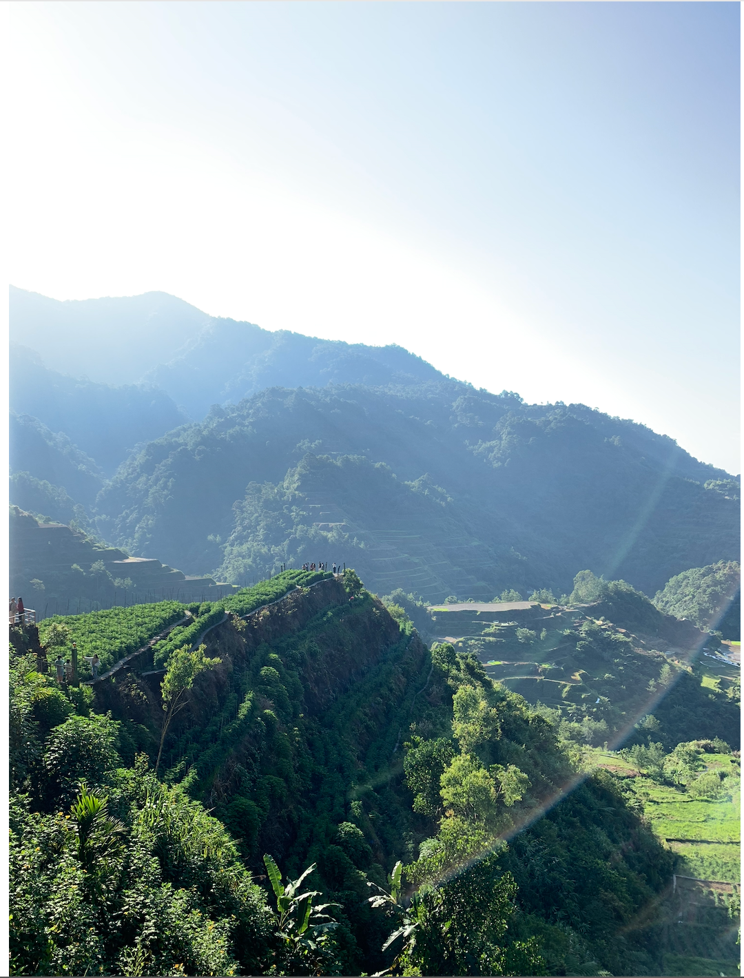 Sunlit mountain terraces and lush green landscape.
